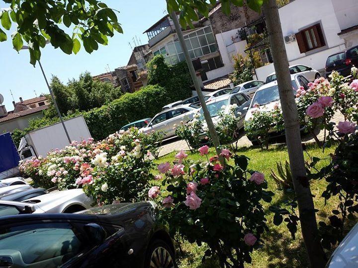 Hotel Jolly Castrovillari Zewnętrze zdjęcie
